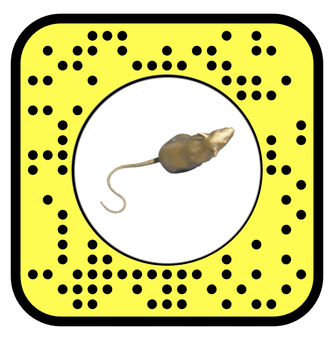 Captura de pantalla 2025-06-13 a las 12.57.55